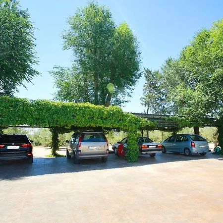Magnificient Rural With Pool And Bbq Villa Alicante